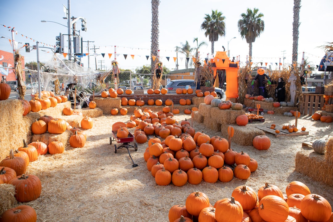 Photo Pumpkin patch